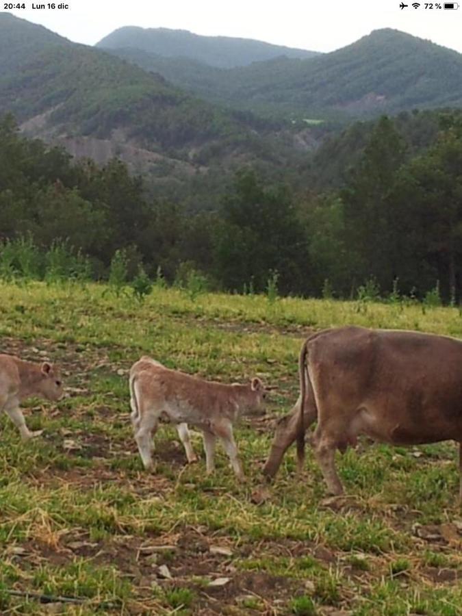 El Pueyo de AraguásPreciosas Vistas A La Montana, Luminoso Y Acogedor公寓 外观 照片