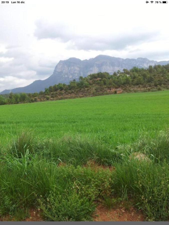 El Pueyo de AraguásPreciosas Vistas A La Montana, Luminoso Y Acogedor公寓 外观 照片