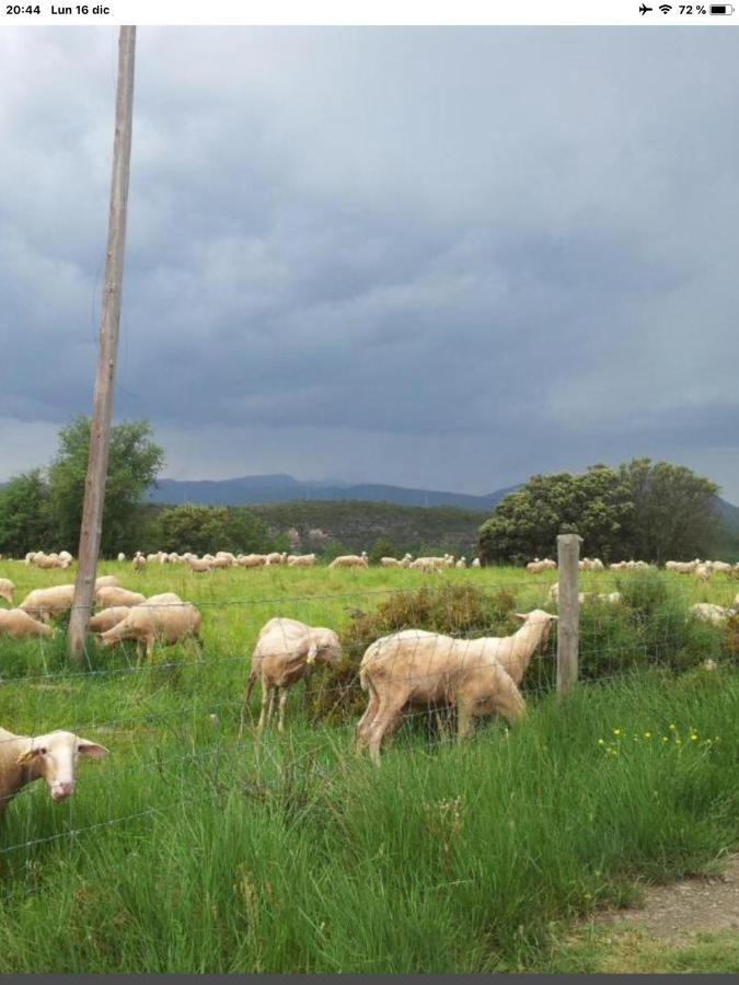 El Pueyo de AraguásPreciosas Vistas A La Montana, Luminoso Y Acogedor公寓 外观 照片